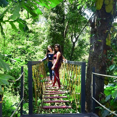 Misty Rain Estate Hotel Madikeri Ngoại thất bức ảnh