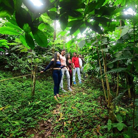 Misty Rain Estate Hotel Madikeri Ngoại thất bức ảnh