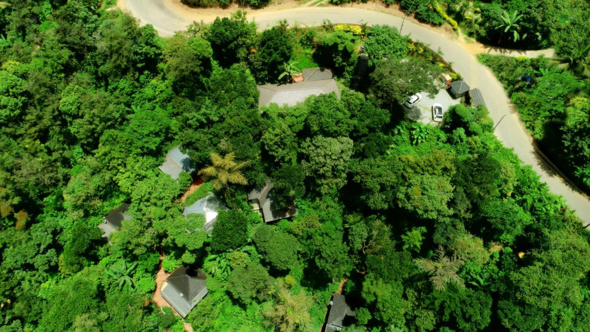 Misty Rain Estate Hotel Madikeri Ngoại thất bức ảnh
