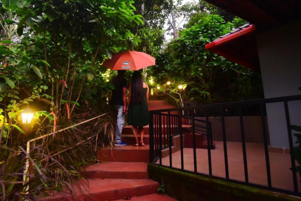 Misty Rain Estate Hotel Madikeri Ngoại thất bức ảnh