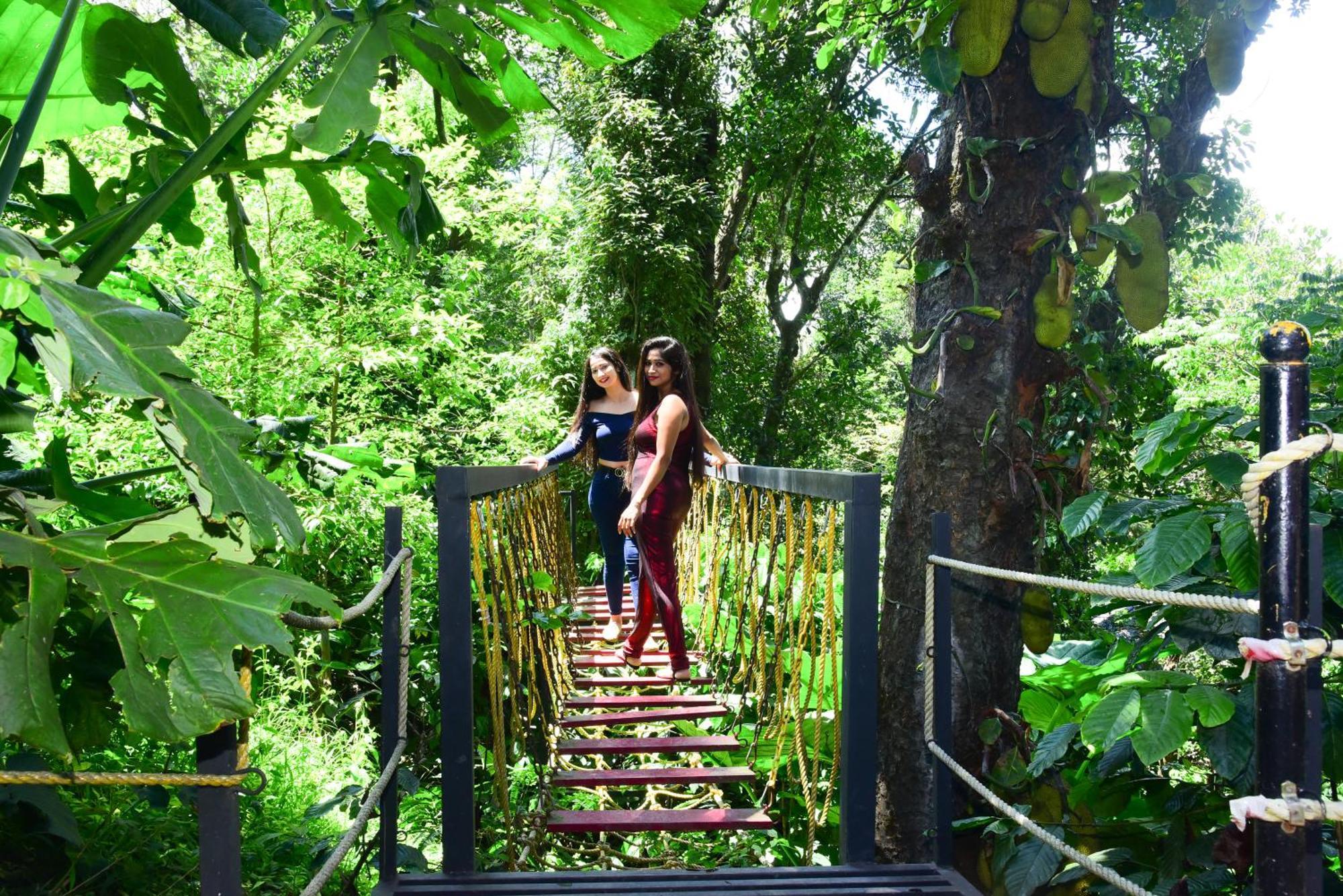 Misty Rain Estate Hotel Madikeri Ngoại thất bức ảnh