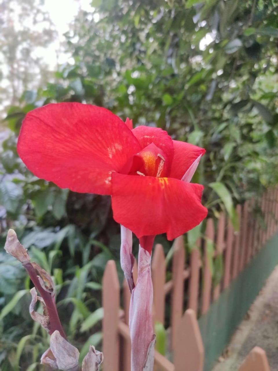 Misty Rain Estate Hotel Madikeri Ngoại thất bức ảnh