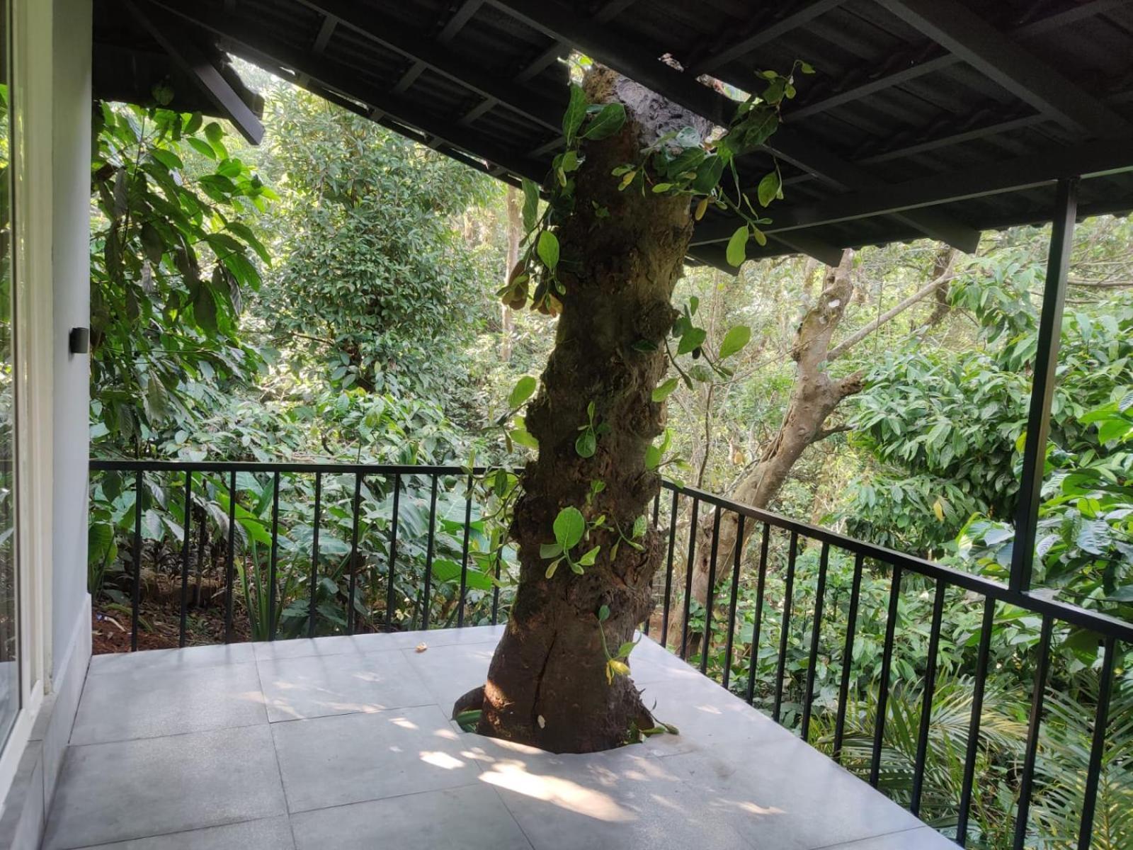 Misty Rain Estate Hotel Madikeri Ngoại thất bức ảnh