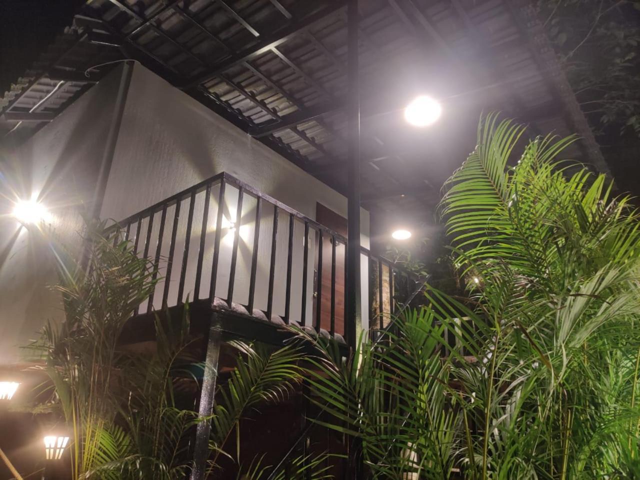 Misty Rain Estate Hotel Madikeri Ngoại thất bức ảnh