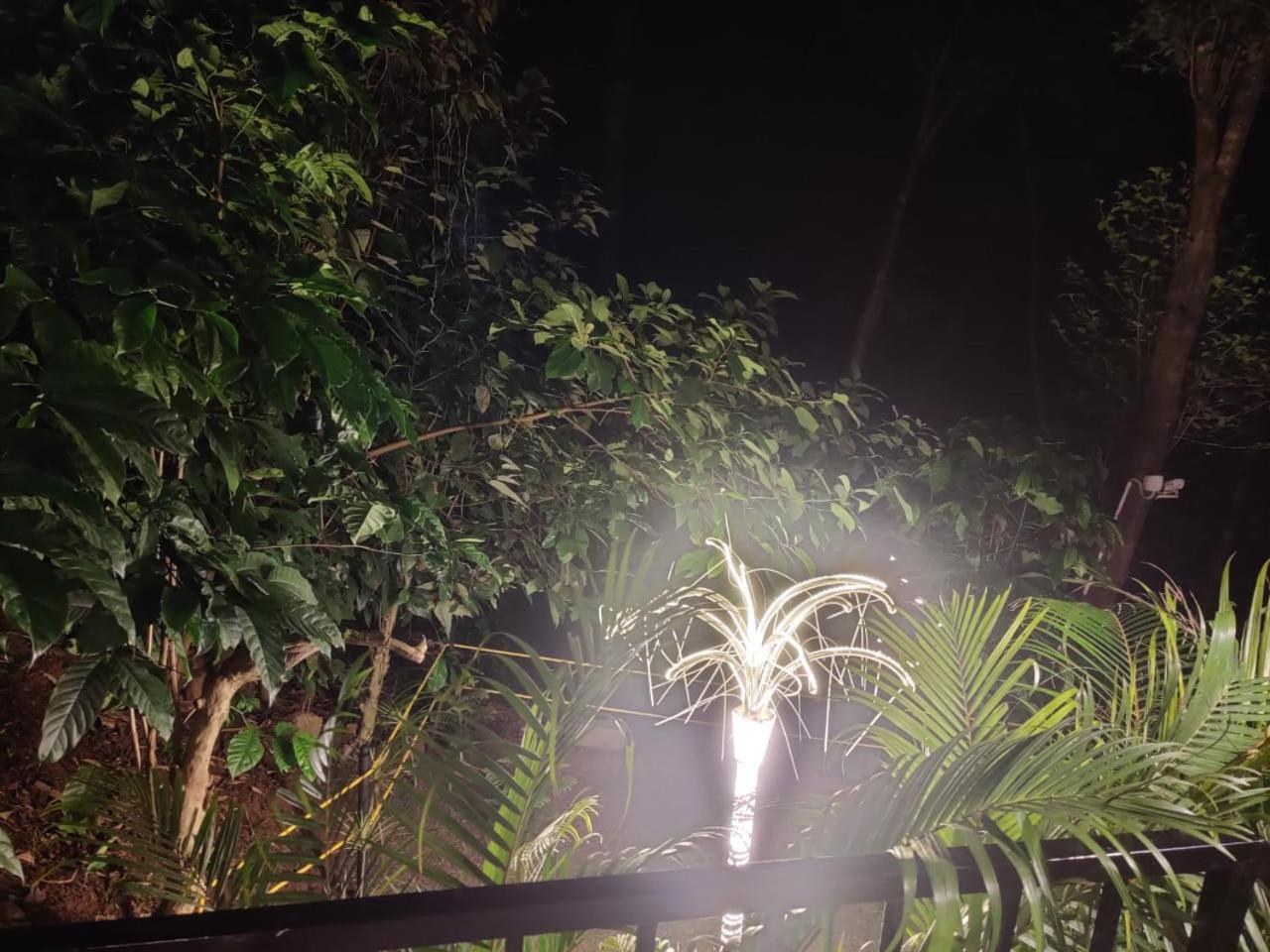 Misty Rain Estate Hotel Madikeri Ngoại thất bức ảnh